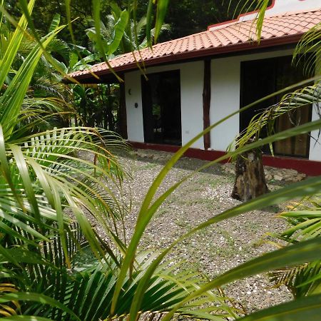 Villas Jungle 5 Sámara 외부 사진