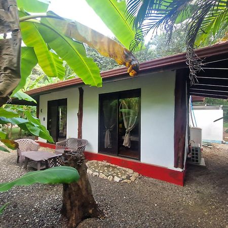Villas Jungle 5 Sámara 외부 사진