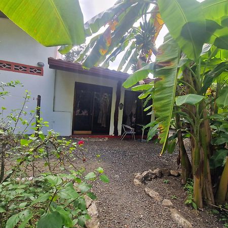 Villas Jungle 5 Sámara 외부 사진