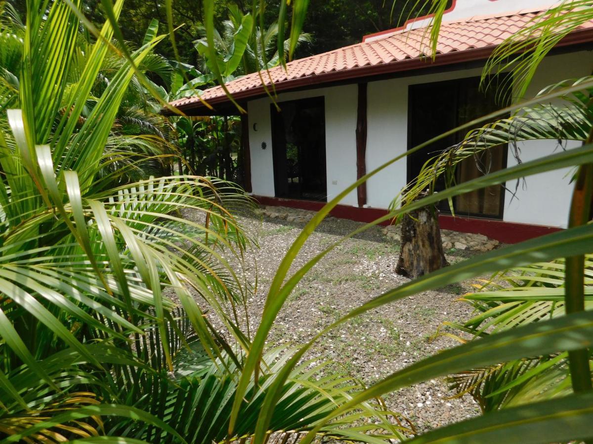 Villas Jungle 5 Sámara 외부 사진