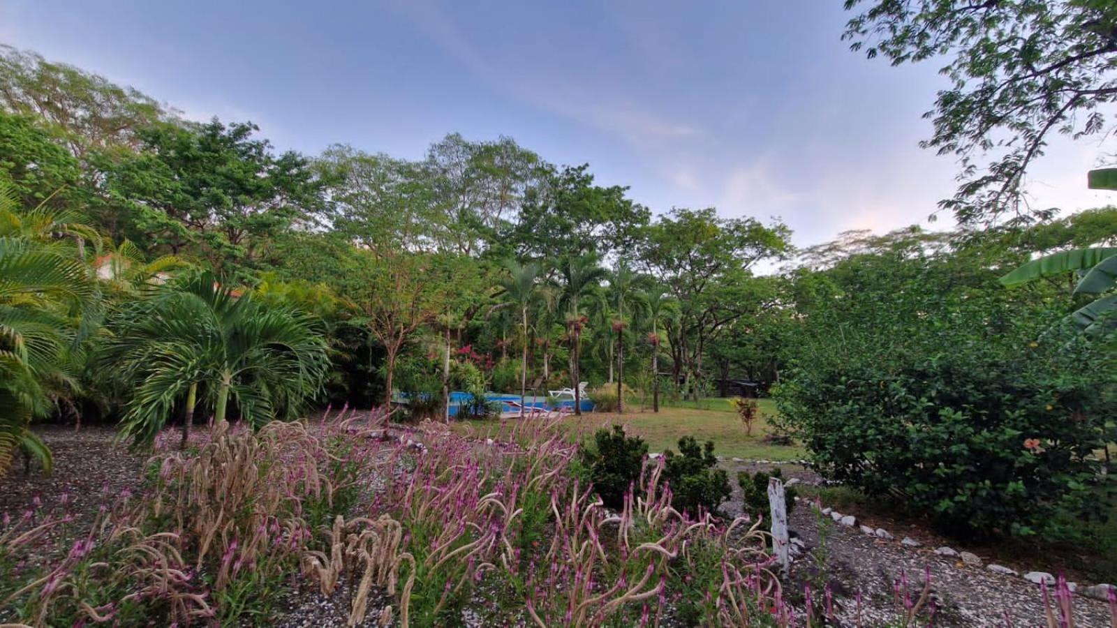 Villas Jungle 5 Sámara 외부 사진